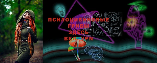 мескалин Лабытнанги