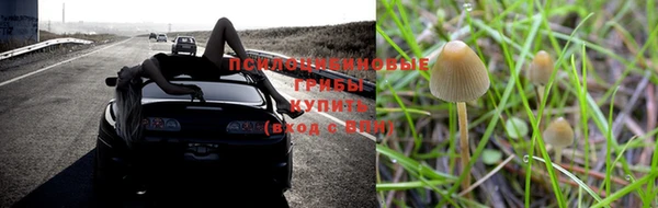 мескалин Лабытнанги