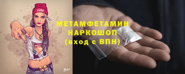 ГАЛЛЮЦИНОГЕННЫЕ ГРИБЫ Лагань