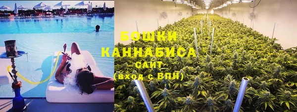 ГАЛЛЮЦИНОГЕННЫЕ ГРИБЫ Лагань