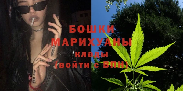 ГАЛЛЮЦИНОГЕННЫЕ ГРИБЫ Лагань
